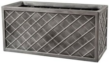 Sankey lead Effect Lazio