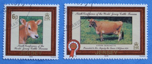 Jersey 1979 - 1979,