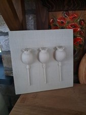 Heavy Resin Wall Plaque, Poppy Seed Pods