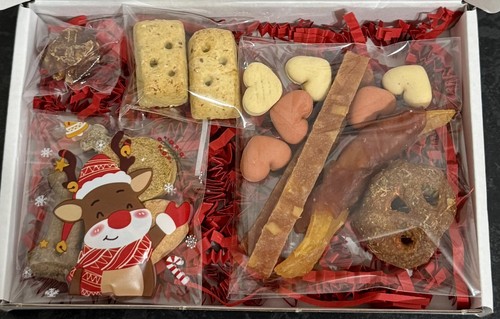 Dog hamper christmas treats - christmas,