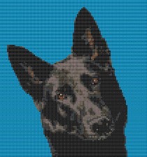 German Shepherd Dog Pup Black