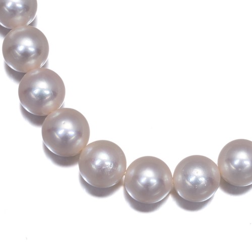Auth mikimoto necklace akoya - auth,