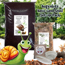 Bugznbits Snail Supply Pack Tank Essential Basics, For Giant African land Snails