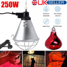 INFRARED HEAT LAMP & BULB Ruby