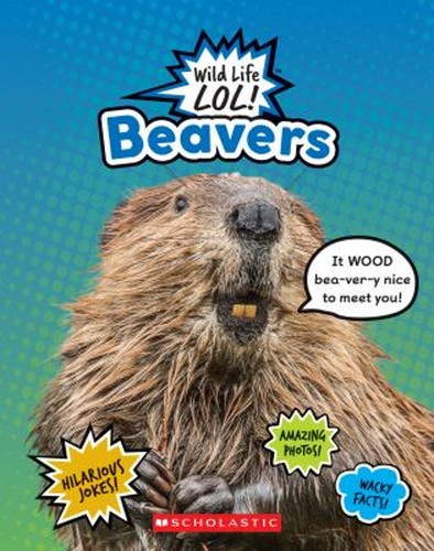 Beavers wild life lol - wild, lol!