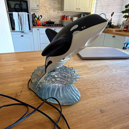 Orca whale novelty - whale,