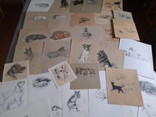 LUCY DAWSON HUGE LOT OF 30 ORIGINAL 1930's PRINTS COUNTRY LIFE PUBLICATION