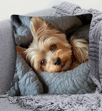 Yorkshire Terrier Dog Sofa