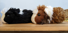 Guinea Pigs Plush Soft Toys x