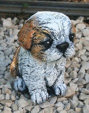 Shih Tzu Puppy Garden Stone