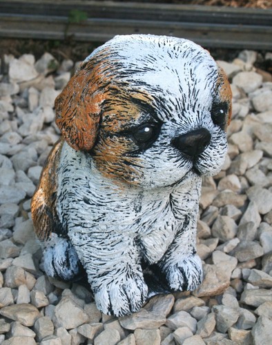 Shih tzu puppy garden stone - puppy,