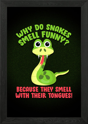 Ophiology pet snakes smell - snakes,