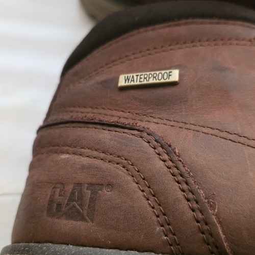 Cat caterpillar men - cat, men’s