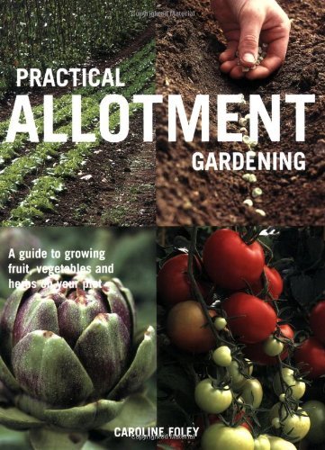 Practical allotment gardening - practical,