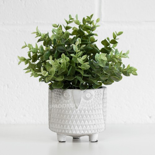 Set owl plant - set,