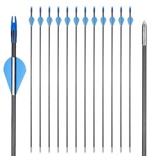 12/24PCS 31'' Fiberglass Arrows SP800 for Compound/Recurve Bow Target Practice