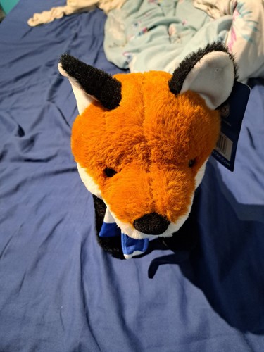 Official leicester city - leicester,