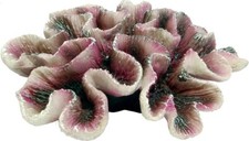 AquaSpectre Brain Coral 19x17x6cm Fish Tank Ornament Decoration AQ61723