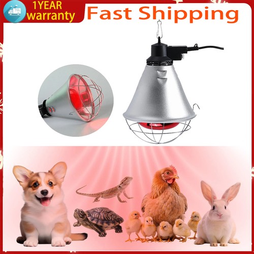 250w infrared heat - 250w,