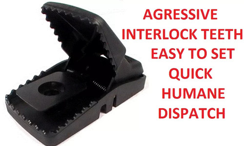 Heavy duty aggressive - 6x,