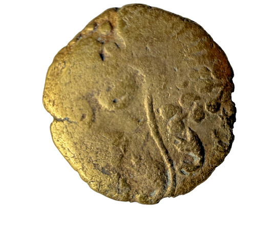 Gallo belgic bellovaci quarter - gallo-belgic,