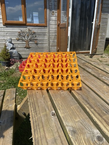 Plastic egg trays hold - x, 30
