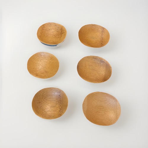 Eco friendly bamboo dishes - bamboo,
