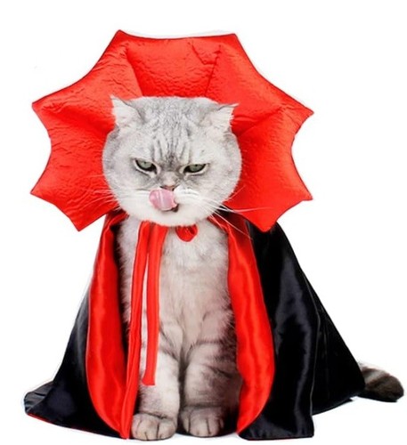 Cat cloak halloween cape - cat,
