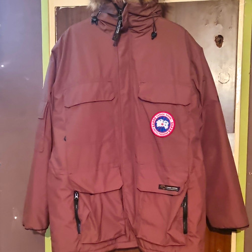 Canada goose expedition arctic - goose,