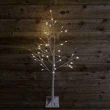 Choice of Size - Indoor