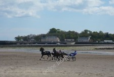 Photo 6x4 Sulky Racing