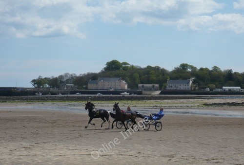 Photo 6x4 sulky racing - photo,