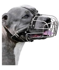 Metal wire basket dog - basket,