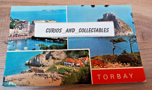 Torbay multiview dennis - multiview,