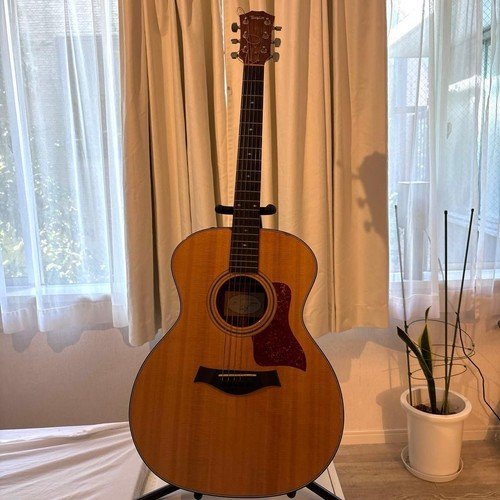 Taylor 314e electric - 314e,