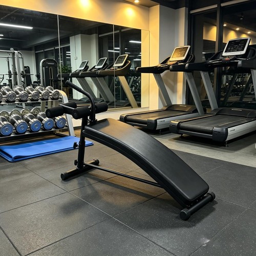 500lb sit bench curved ab - sit, up