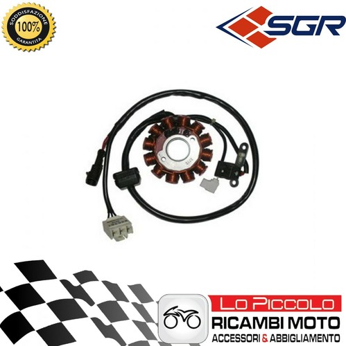 Flywheel stator magnet - magnet, 12