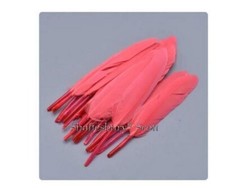 Craft Feathers, Millinery