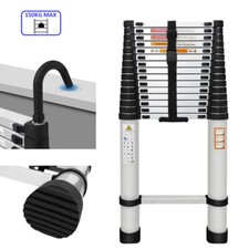 Folding Extendable Ladder