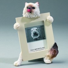 HIMALAYAN CAT ~ PICTURE FRAME