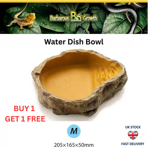 Vivarium reptile water dish - reptile,