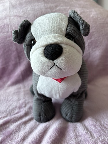 Mini bulldog - mini, (genuine)