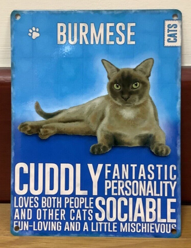 Burmese cat vintage style - cat,