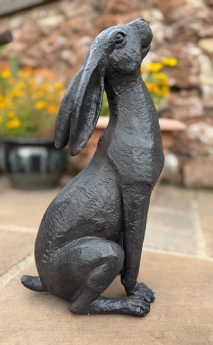 Moon gazing hare - hare, garden