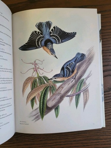 Latin for bird watchers - latin,