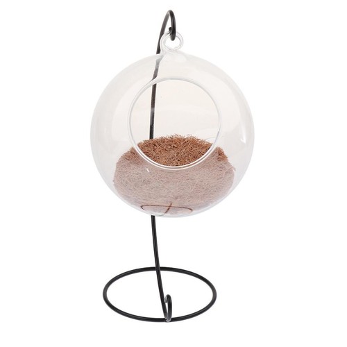 Transparent glass hanging pet - transparent,