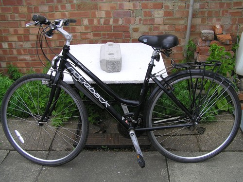 Ladies bicycle ridgeback - ladies,