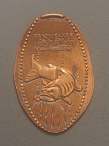 Vintage tennessee aquarium - vintage,