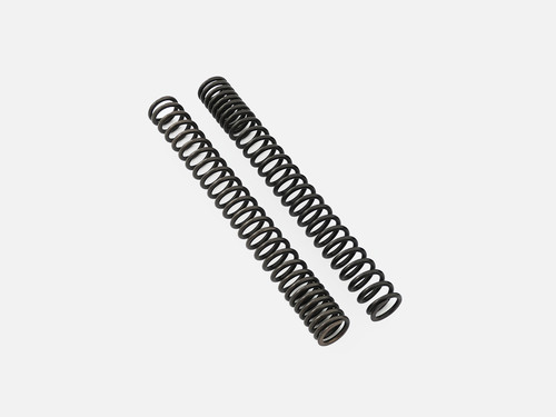 Progressive fork springs kit