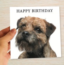 Border Terrier Birthday Card